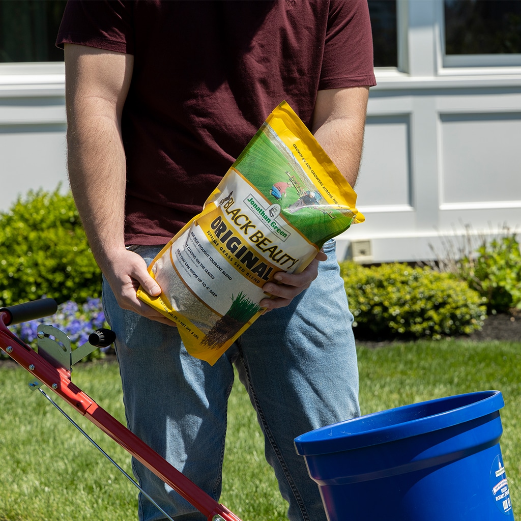 man-pouring-grass-seed-spreader-lawn