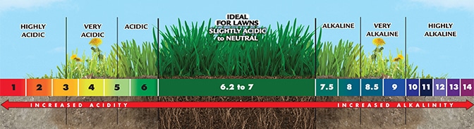 spring lawn care tips - tip #2