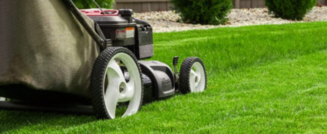 spring lawn care tips - tip #7