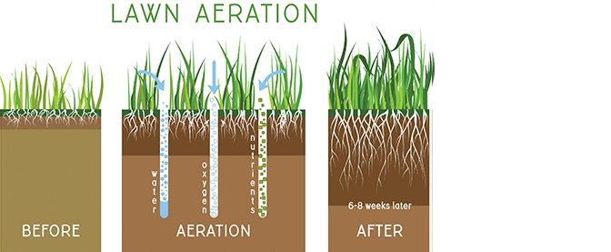 spring lawn care tips - tip #3