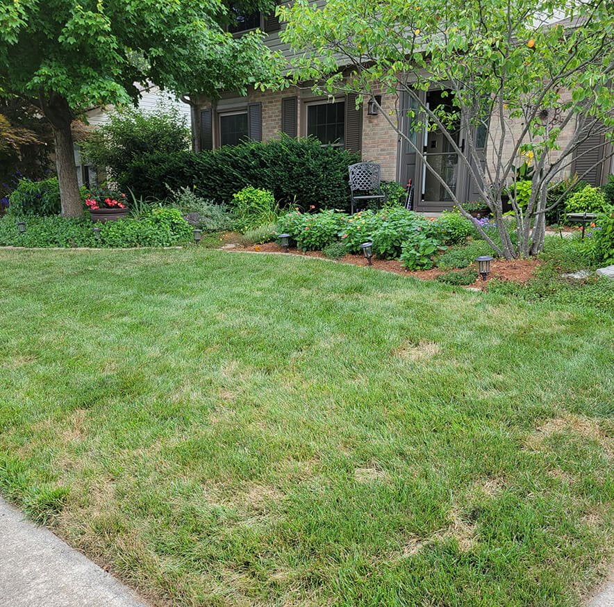 A well-maintained garden in front of a house with a variety of plants and a neatly trimmed lawn.