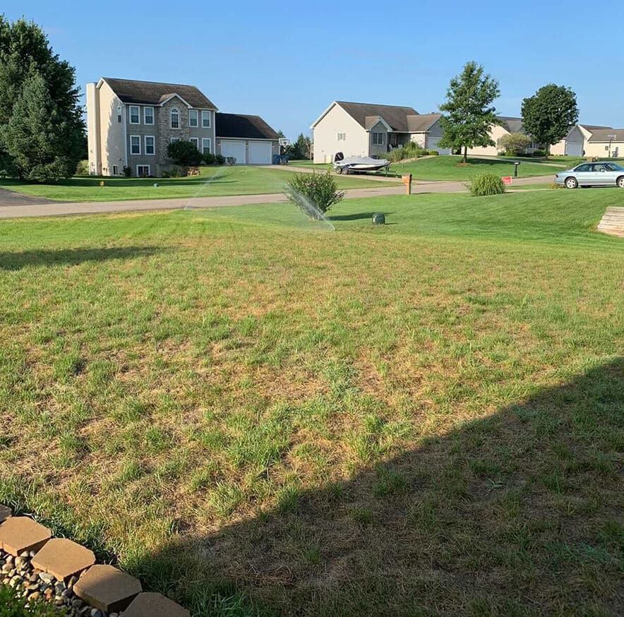 Suburban neighborhood with well-kept lawns and detached houses on a sunny day.