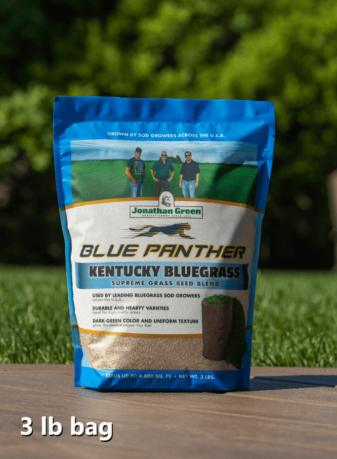 Barenbrug Kentucky Bluegrass Grass Seed - 100% Pure Baron Variety For Lush Lawns
