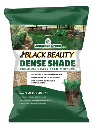 Black Beauty® Dense Shade Grass Seed