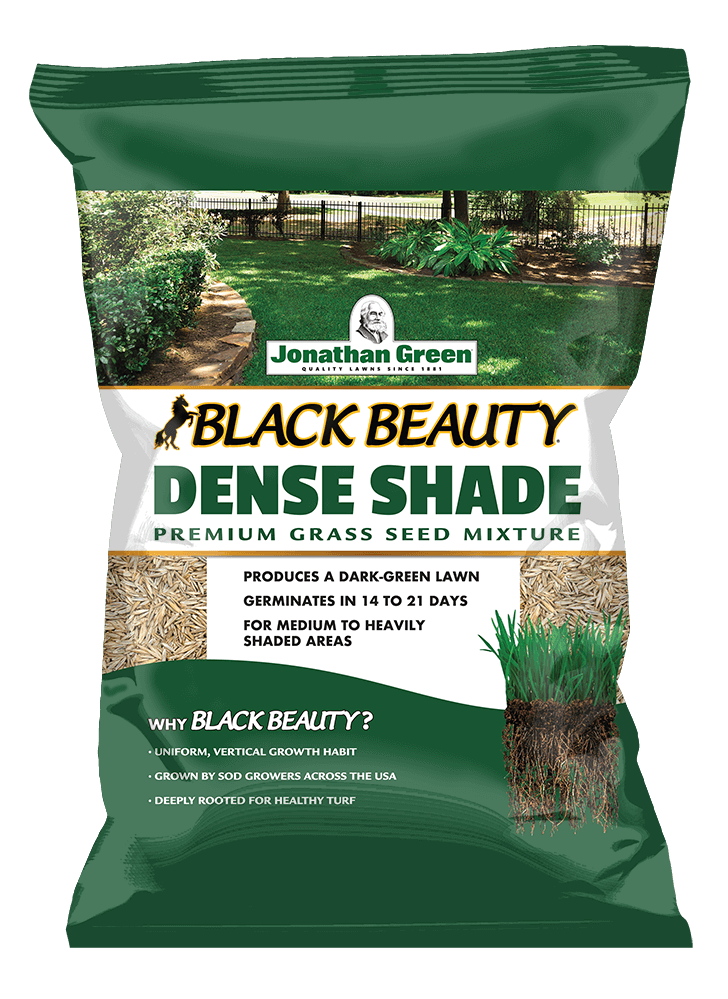 Jonathan Green Black Beauty All Grasses Sun or Shade Grass Seed Mixture 3 lb
