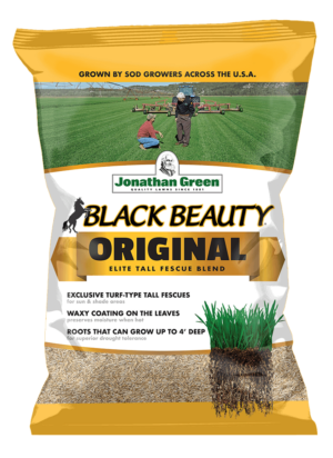 A bag of Black Beauty® Original Grass Seed showcases exclusive turf-type tall fescues, waxy leaves, and deep roots for superior drought resistance.
