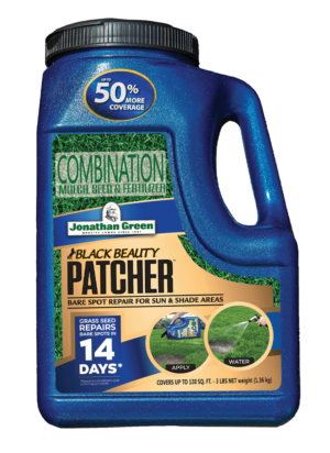 Front_of_Black_Beauty_Patcher_Jug_sized