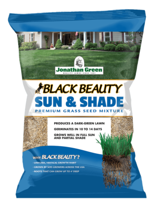 front of Black Beauty Sun and Shade Bag