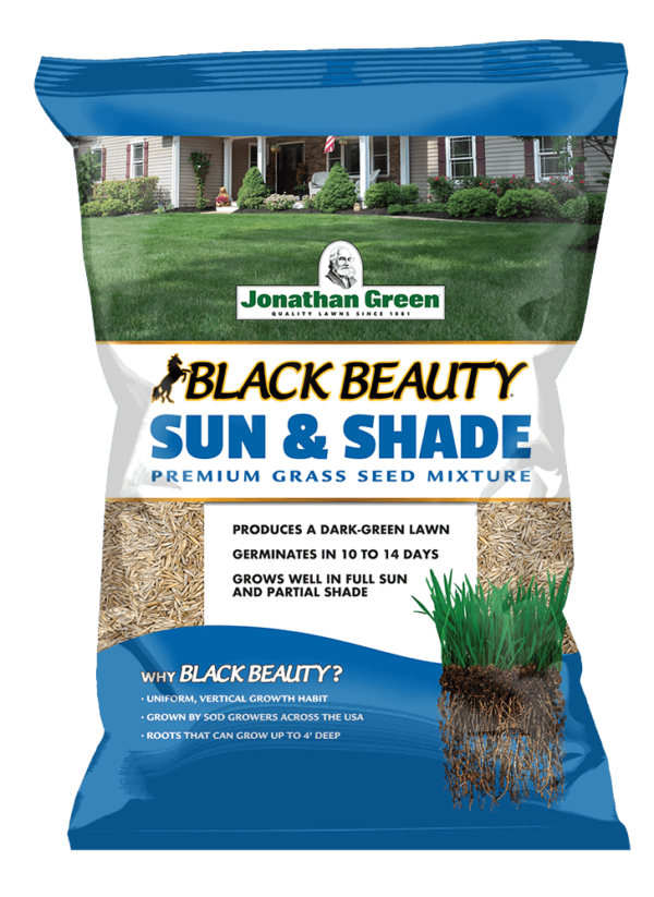 front of Black Beauty Sun and Shade Bag