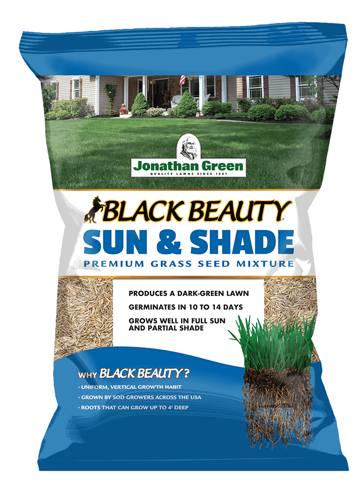 Jonathan Green Black Beauty Mixed Partial Shade/Sun Grass Seed 1 lb