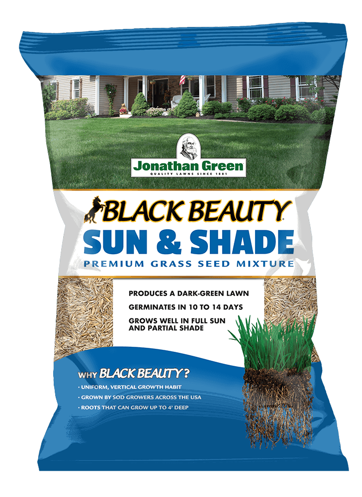 front of Black Beauty Sun and Shade Bag