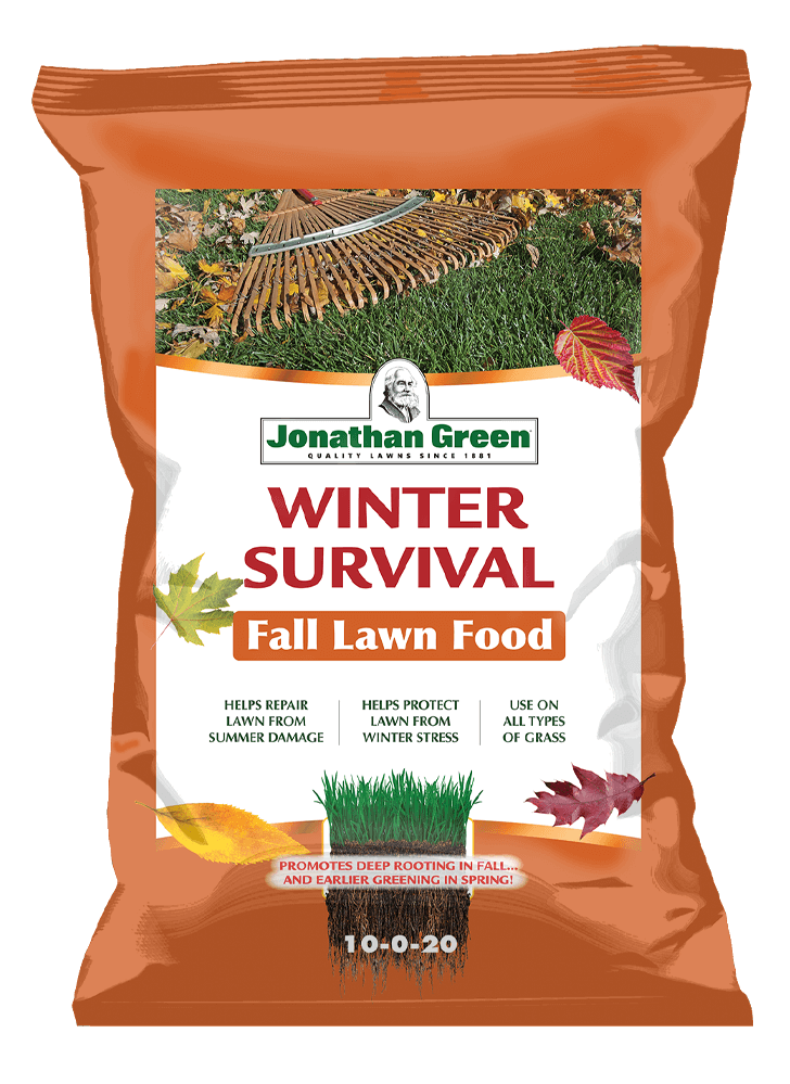 Bag of Winter Survival Fall Lawn Fertilizer, with product benefits listed on the orange front label amidst autumn leaves.