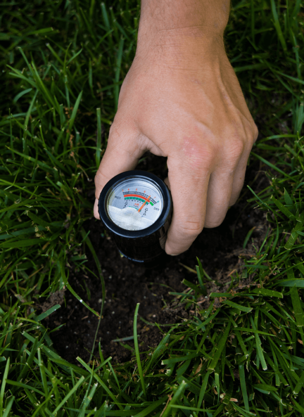 A hand adjusting a Pro pH & Moisture Soil Tester inserted into the ground, surrounded by green grass.
