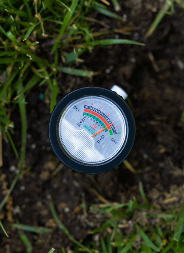 A Pro pH & Moisture Soil Tester with a dial reading in the green zone, indicating optimal moisture levels, inserted in soil with surrounding grass.