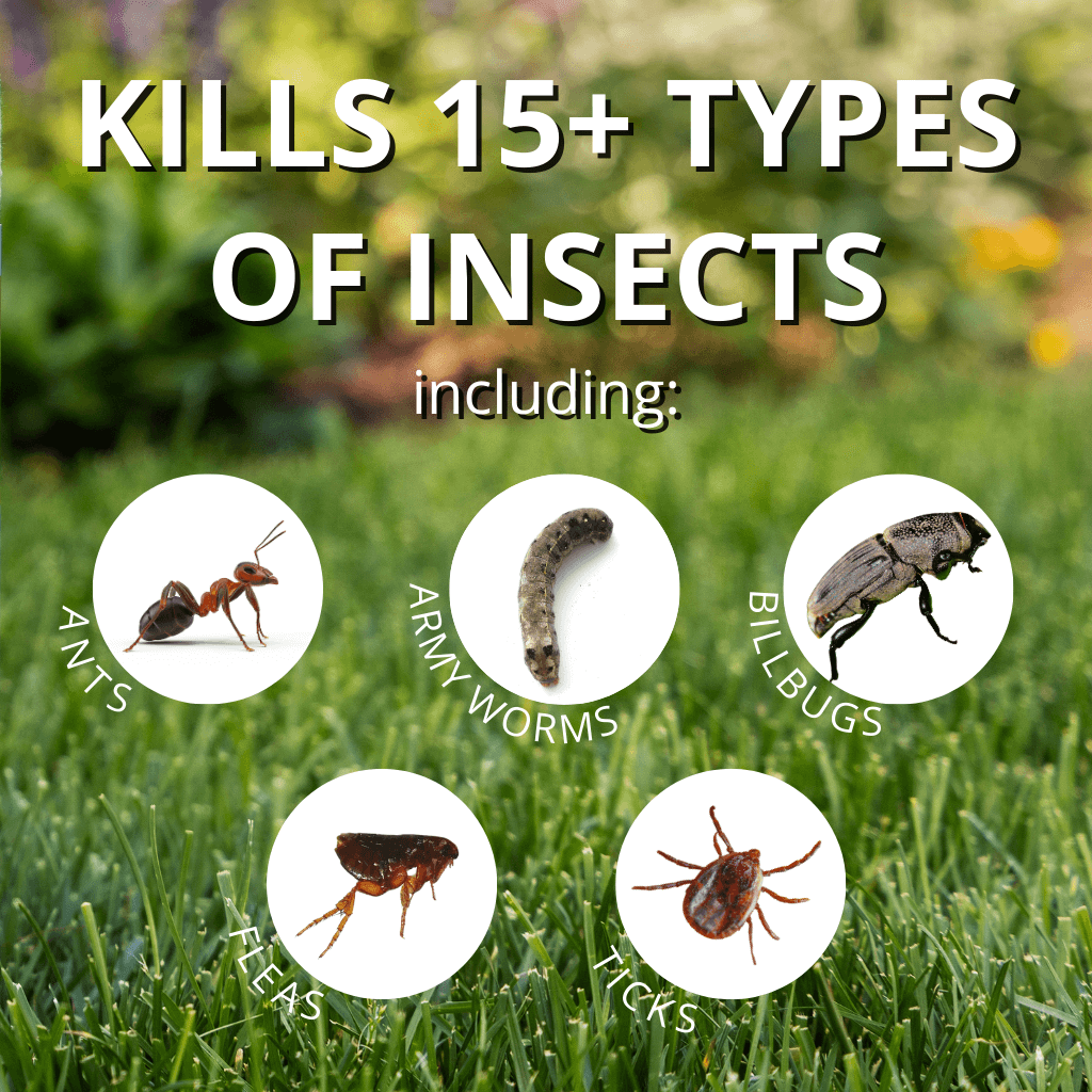 Kill Over 15 Surface-Feeding Insects