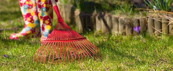 spring lawn care tip - tip #1