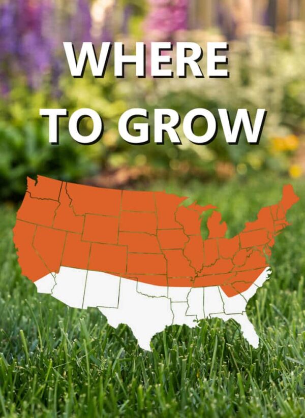 A graphic of the United States map with the text "BarkBox" overlaying a background of garden flowers.