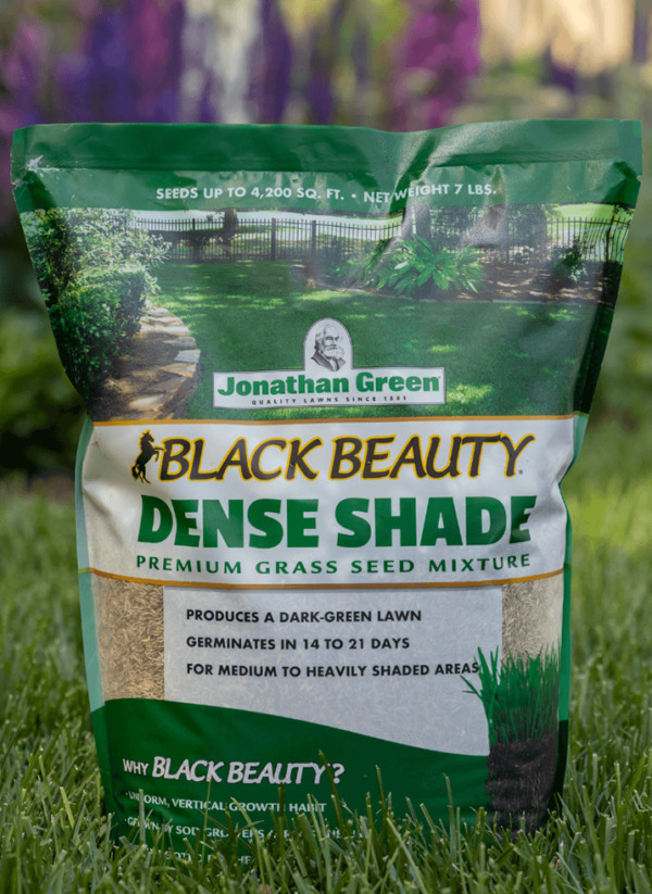 A bag of Grass Seed & Fertilizer Bundle for Shady Lawns standing on a lawn.