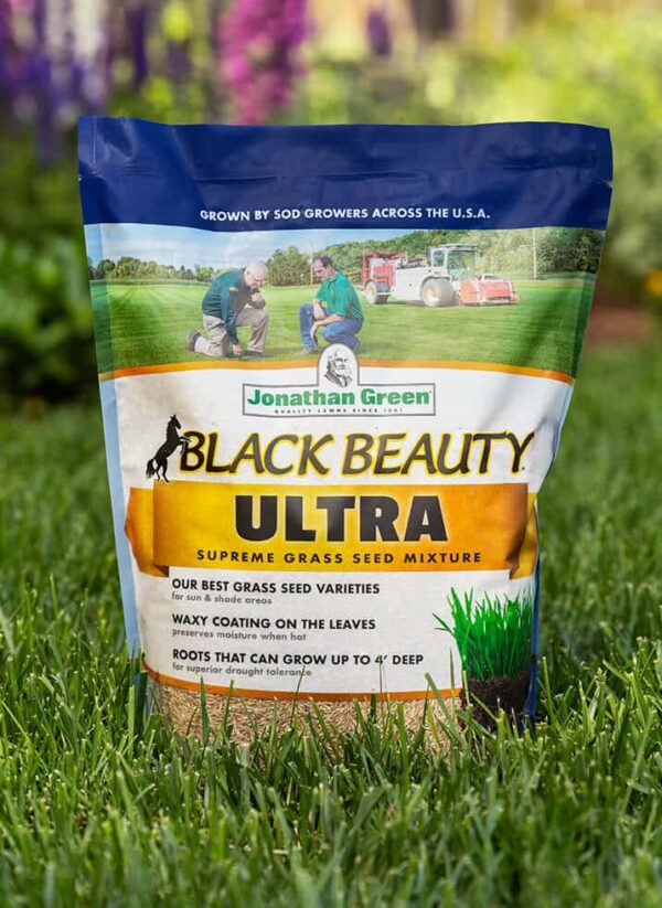 Bag of Grass Seed & Fertilizer Bundle for Acidic Soil placed on a lawn.
