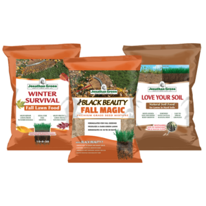 Three bags of Fall Lawn Care Bundle, including Winter Survival Fall Lawn Food, Black Beauty Grass Seed Mix, and Love Your Soil Natural Soil Food.