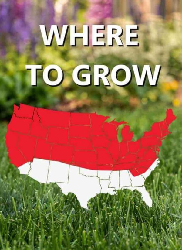 Map of the United States highlighting areas suitable for gardening with Grass Seed & Fertilizer Bundle for Sunny Lawns, with the caption 'where to grow'.