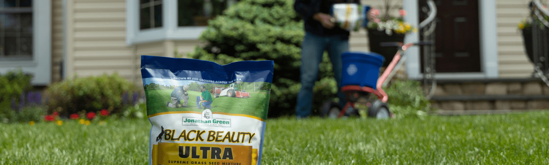 Best Grass Seed for Northeast Jonathan Green