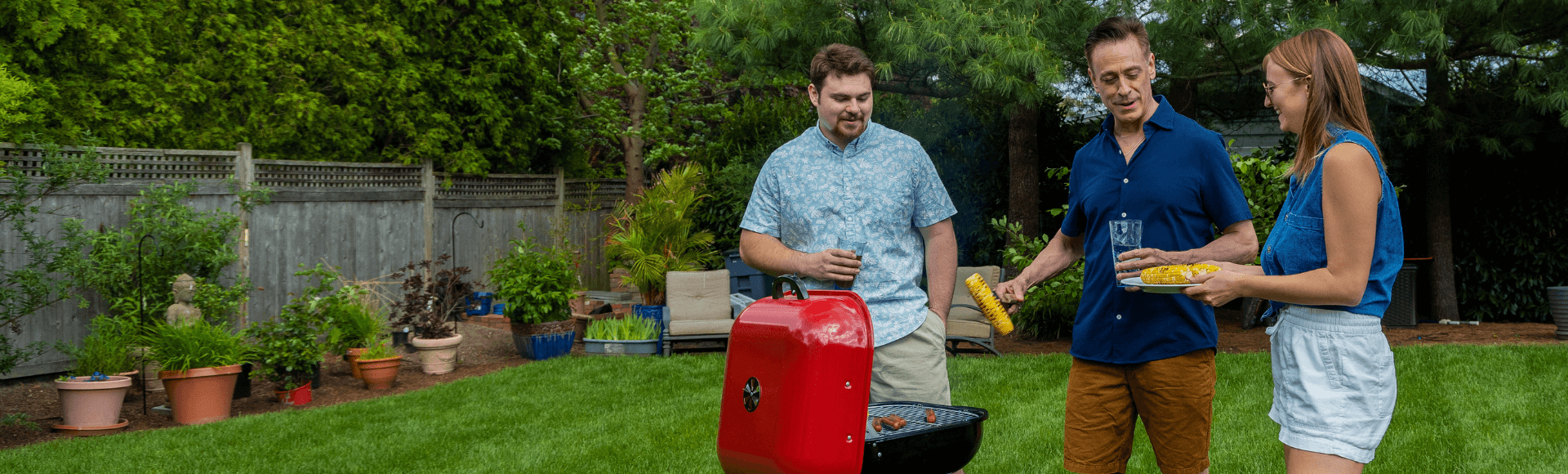 Best Lawn Fertilizer For Summer Jonathan Green Best lawn fertilizer for summer jonathan green