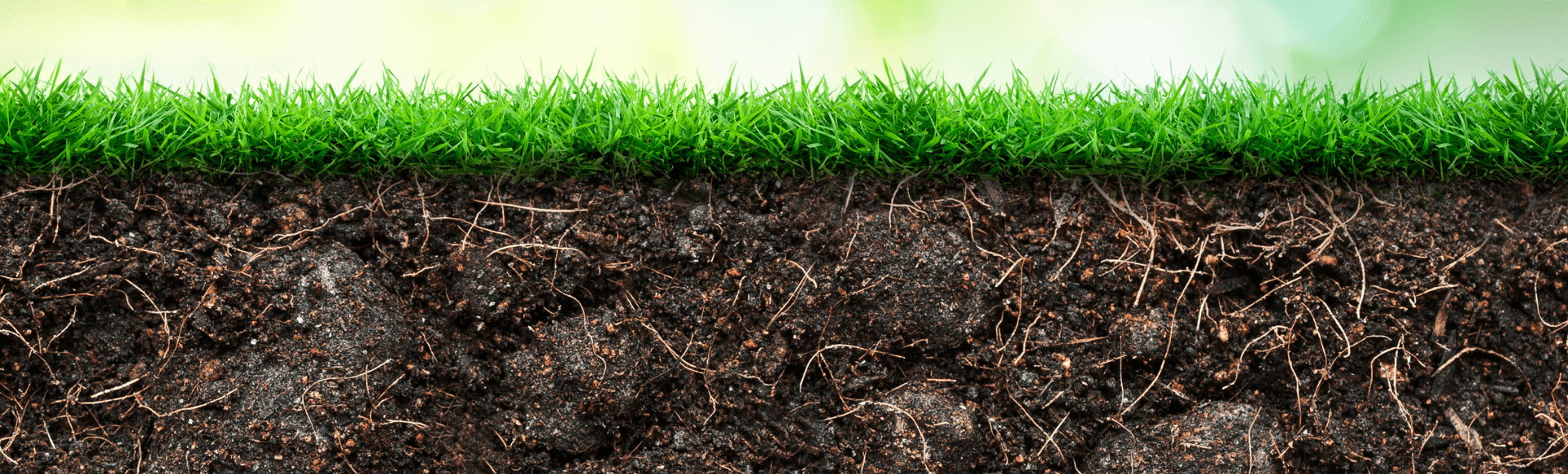 How Do I Enrich My Lawn Soil? Jonathan Green