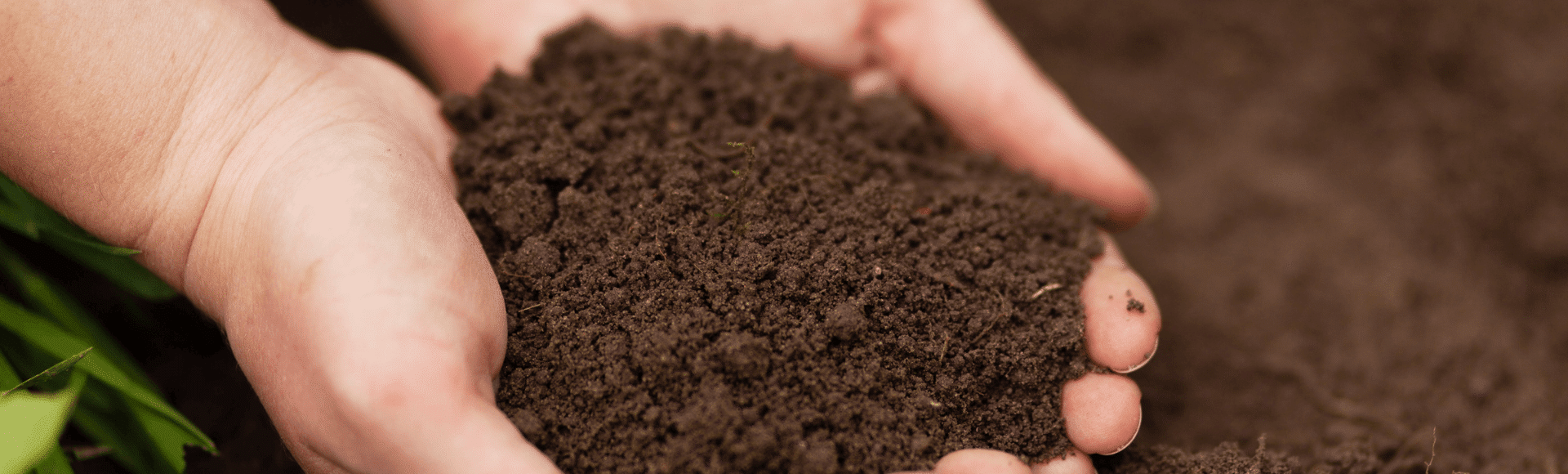 How to Improve Lawn Soil Jonathan Green