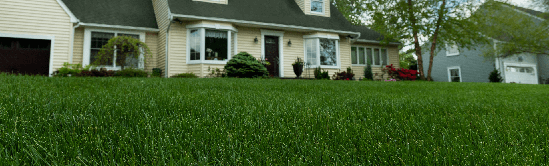 How to Overseed a Lawn Your Complete Guide Jonathan Green