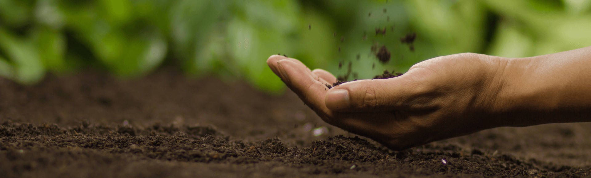 How To Prepare Soil for Grass Seed Jonathan Green