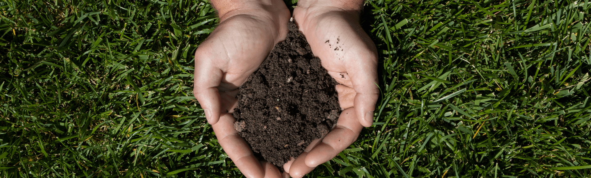 How to Prepare Soil for Lawn Seed Jonathan Green