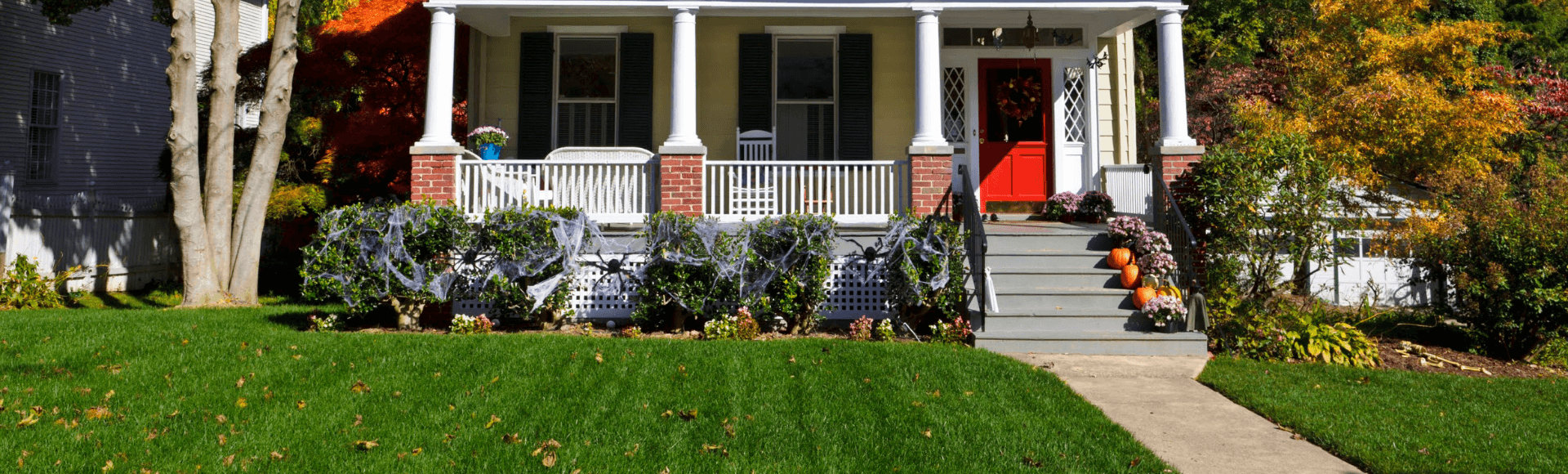 Is it Too Late to Plant Grass Seed in October? Jonathan Green