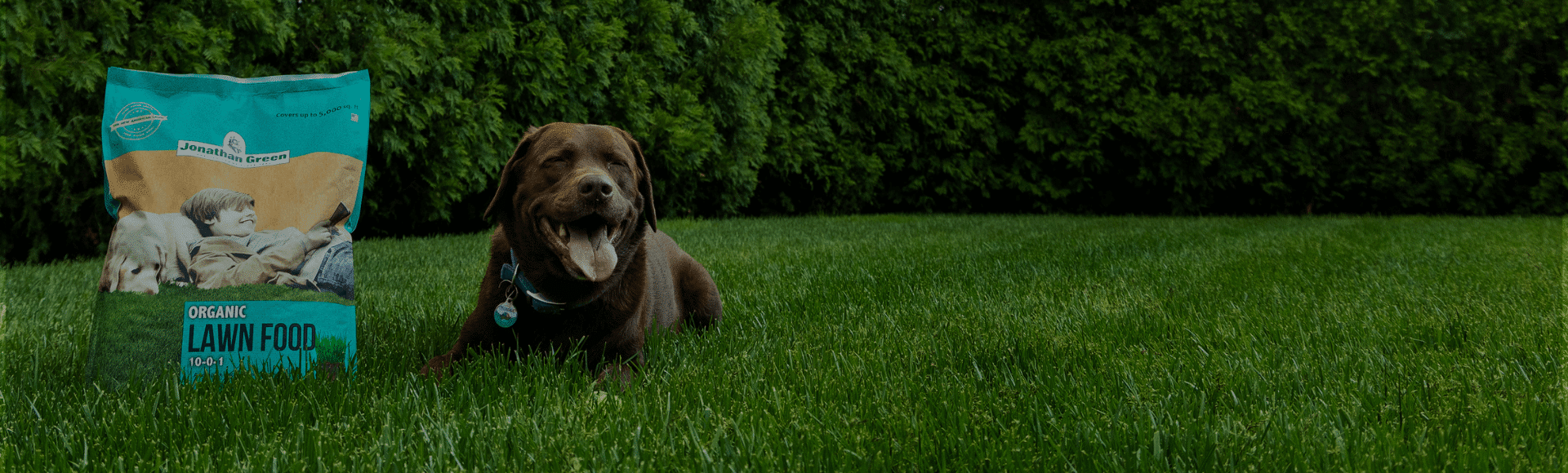 Pet Safe Lawn Fertilizer Jonathan Green