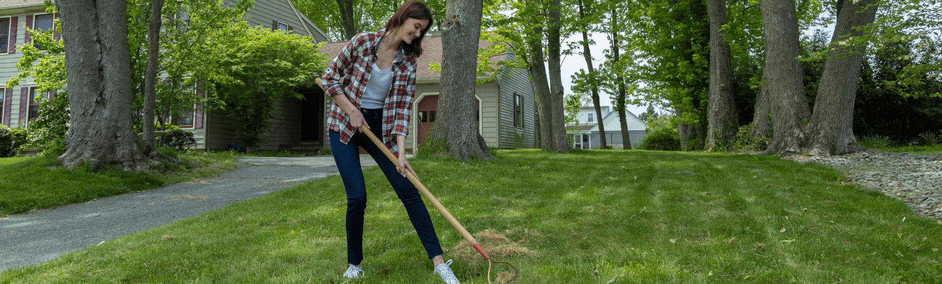 When Should I Dethatch My Lawn? | Jonathan Green