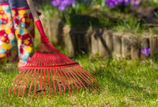 8 Of The Best Lawn Care Tips For Spring
