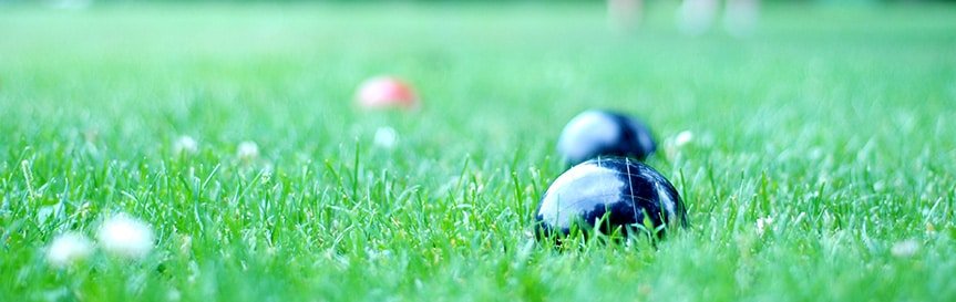 When to Plant Grass Seed in Maine | Jonathan Green