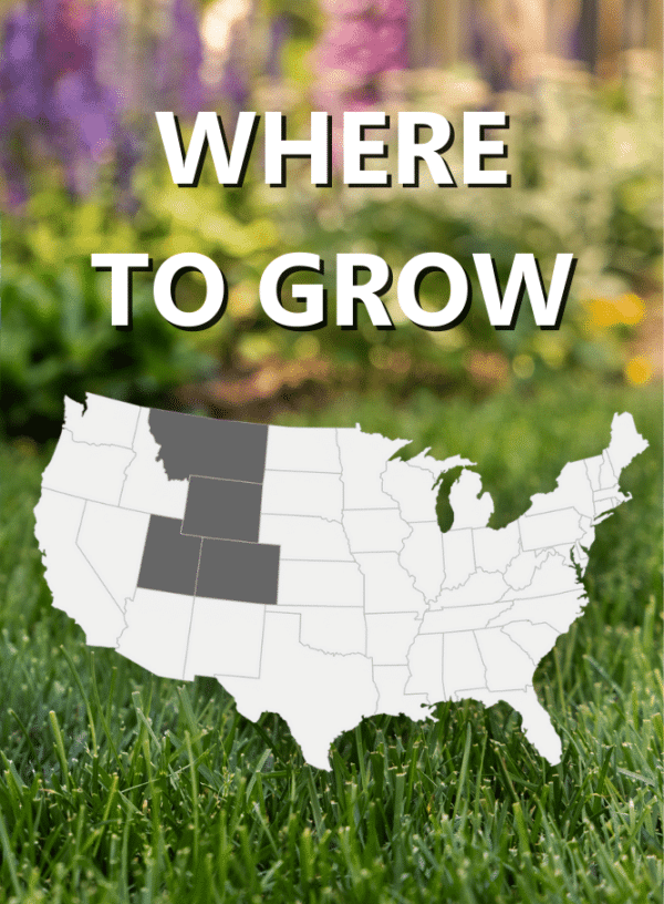 Black Beauty Grass Seed Rocky Mountain Where to Grow Map