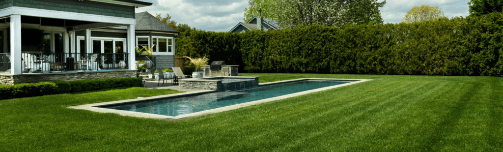 Summer Lawn Care: Schedule, Maintenance, & More Tips