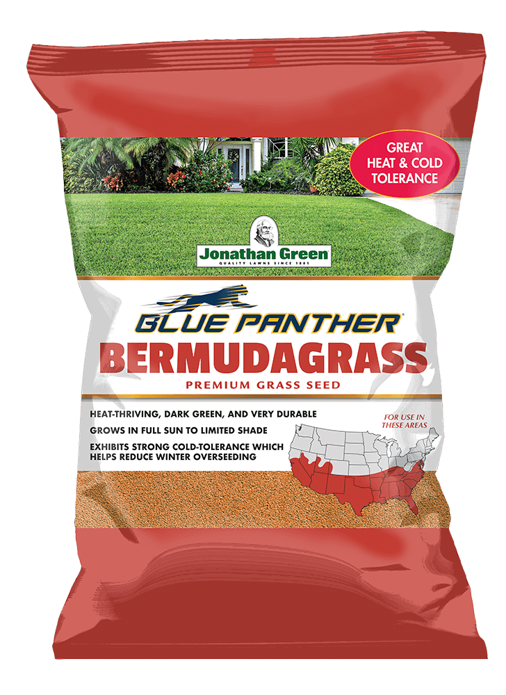 Blue Panther® Bermuda Grass Seed | Jonathan Green