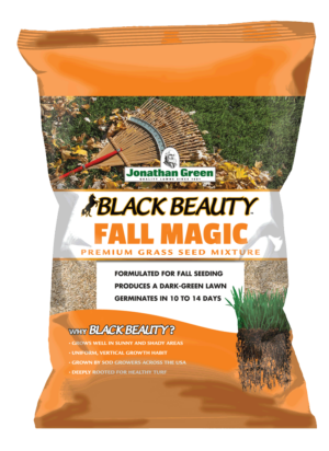 Bag of Black Beauty® Fall Magic grass seed mixture.