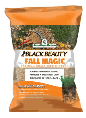 Bag of Black Beauty® Fall Magic grass seed mixture.