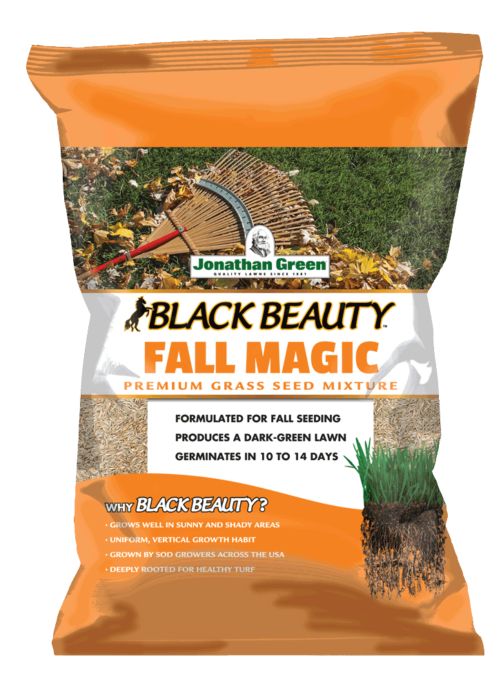 Bag of Black Beauty® Fall Magic grass seed mixture.