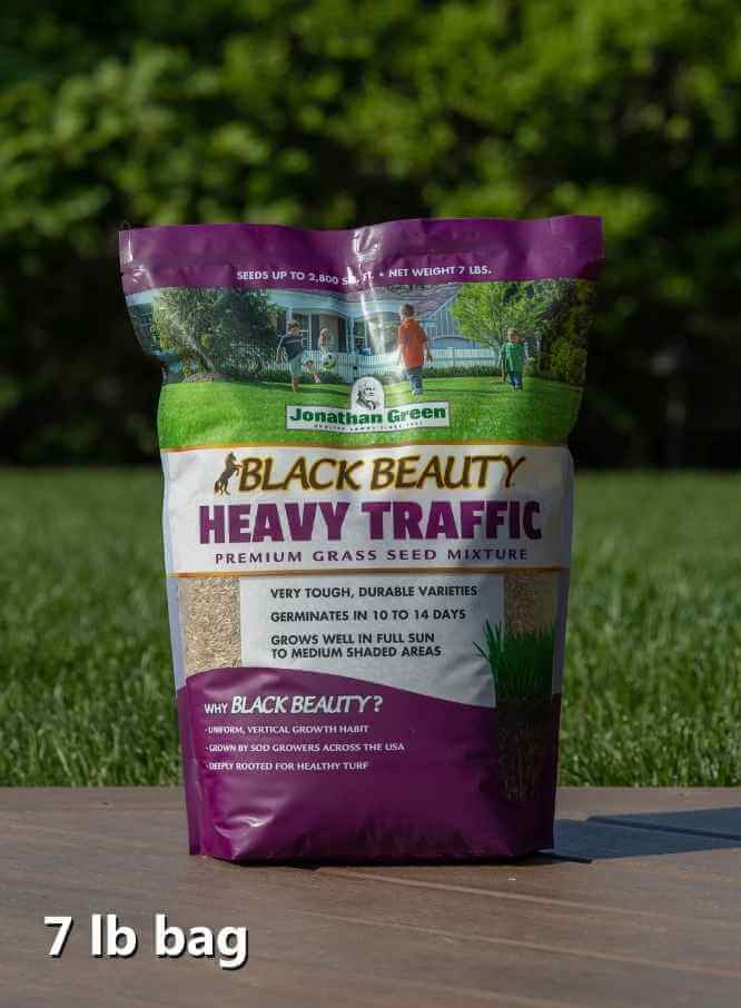 High Traffic Grass Seed Heavy Traffic Grass Jonathan Green