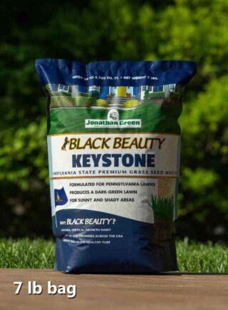 Grass_seed_bag_Black_Beauty_Keystone_Grass_Seed_product_bag