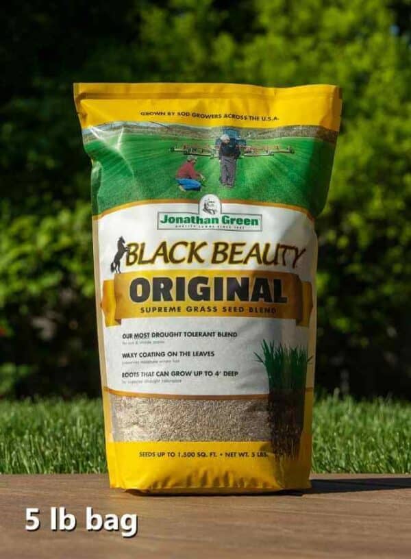 A 5 lb bag of Black Beauty® Original Grass Seed on a natural outdoor background.