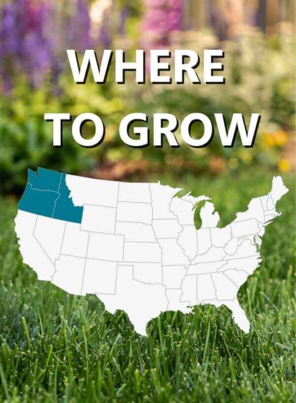 Map_of_USA_Where_to_grow_Black_BeautyPacific_Northwest_grass_seed