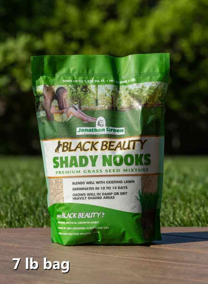 Black Beauty® Shady Nooks Grass Seed Jonathan Green
