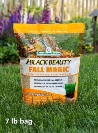 Grass_seed_bag_Black_Beauty_Fall_Magic_grass_seed_product_bag
