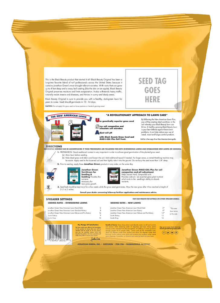 Black Beauty® Original Grass Seed Drought Tolerant Tall Fescue Turf